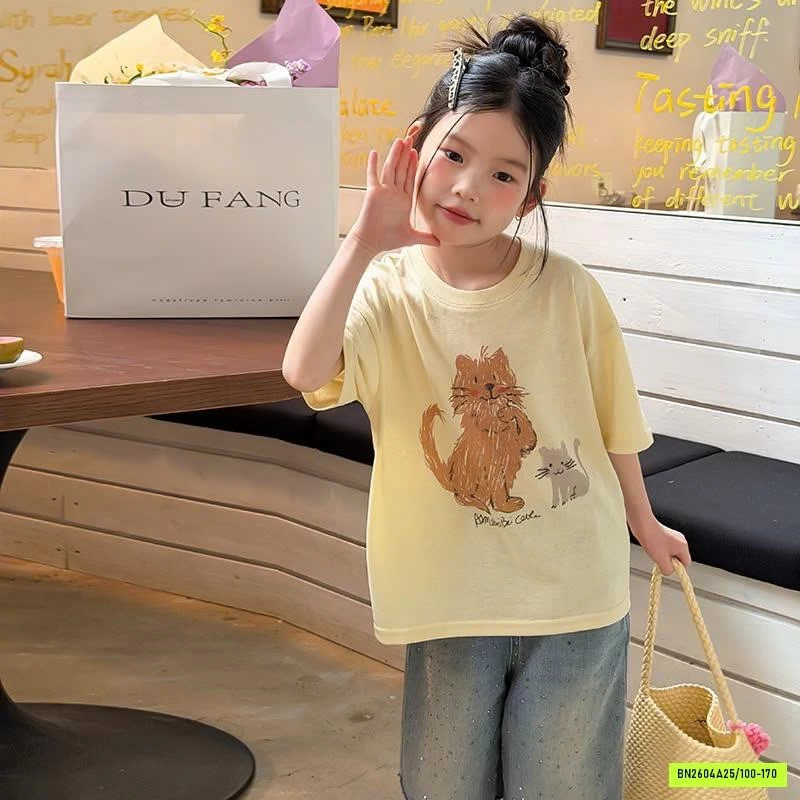 ÁO THUN 6 MẪU 26B008 AMBB