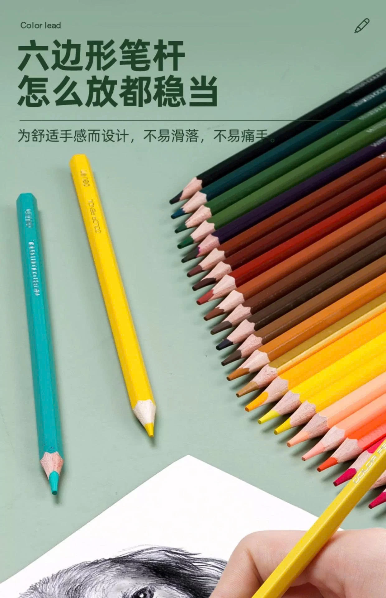 BỘ BÚT CHÌ  MÀU DELI