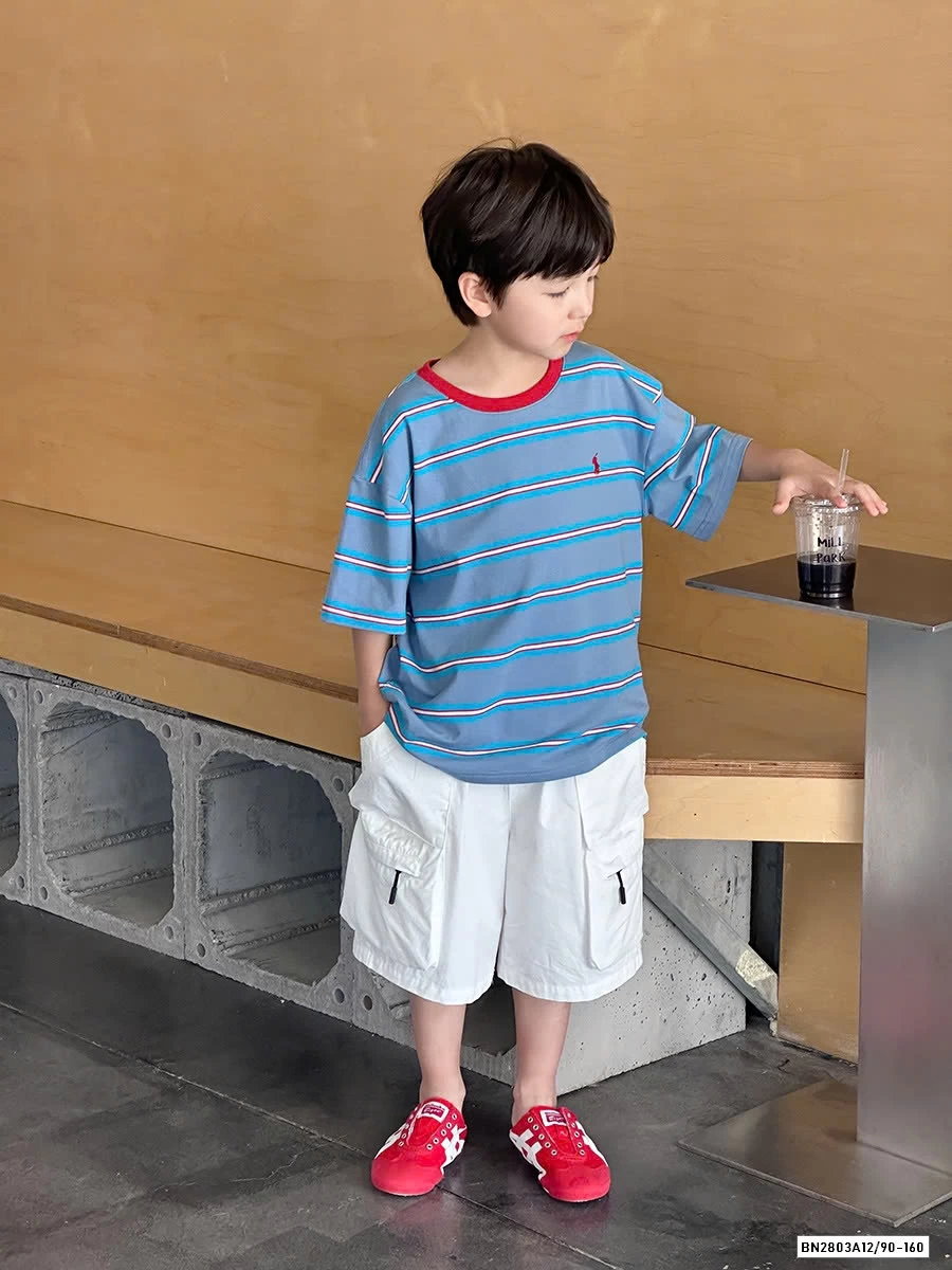 ÁO THUN PHỐI MÀU TAY AMBB