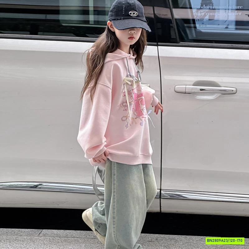 HOODIE NỈ HỒNG SZ ĐẠI