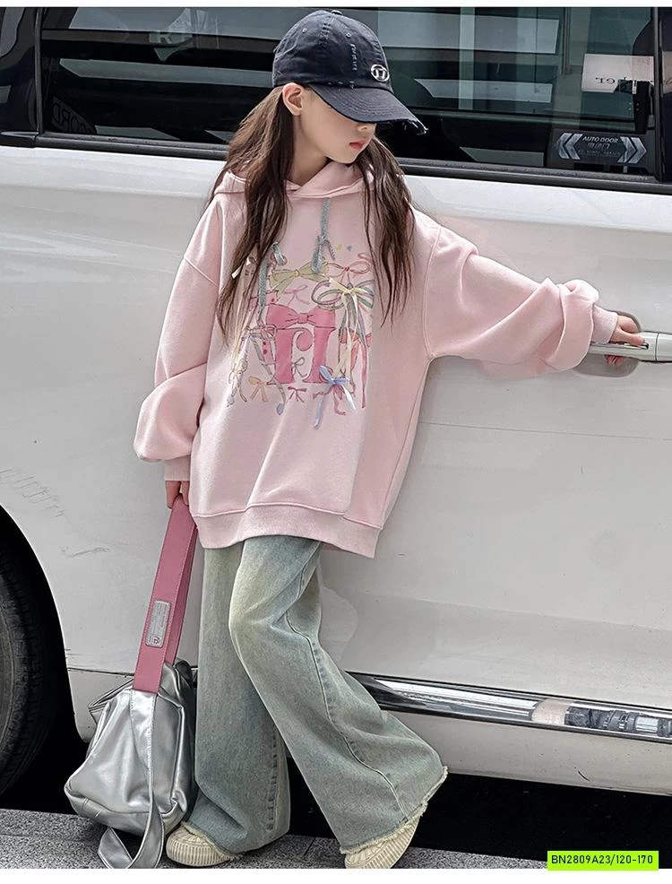 HOODIE NỈ HỒNG SZ ĐẠI