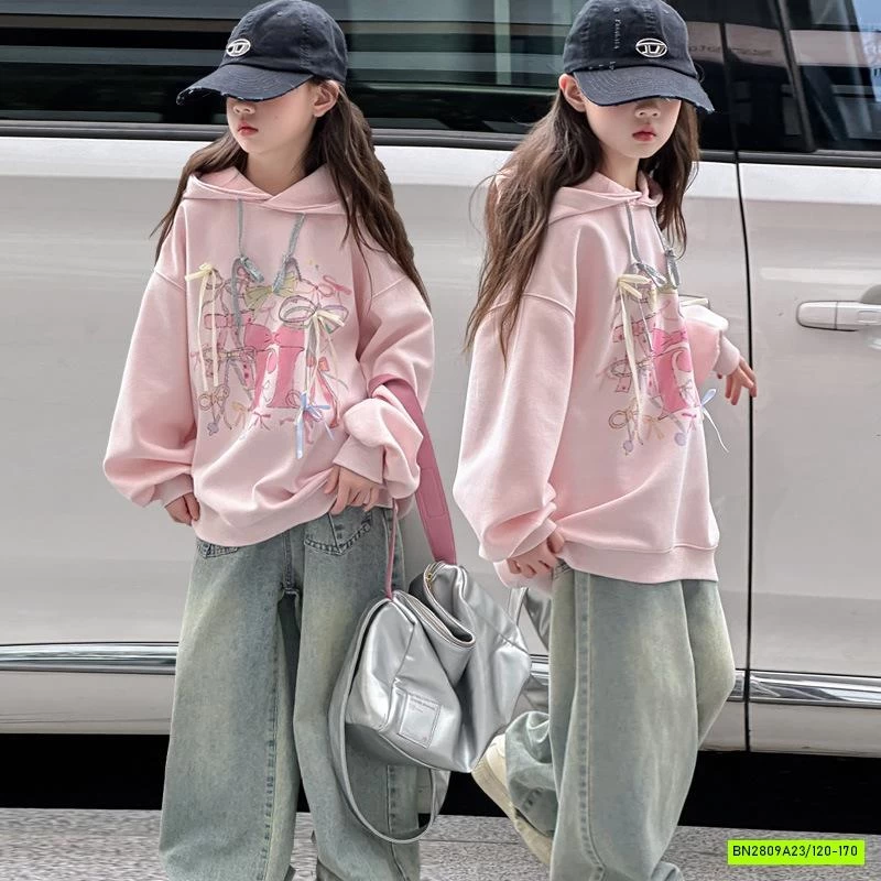 HOODIE NỈ HỒNG SZ ĐẠI