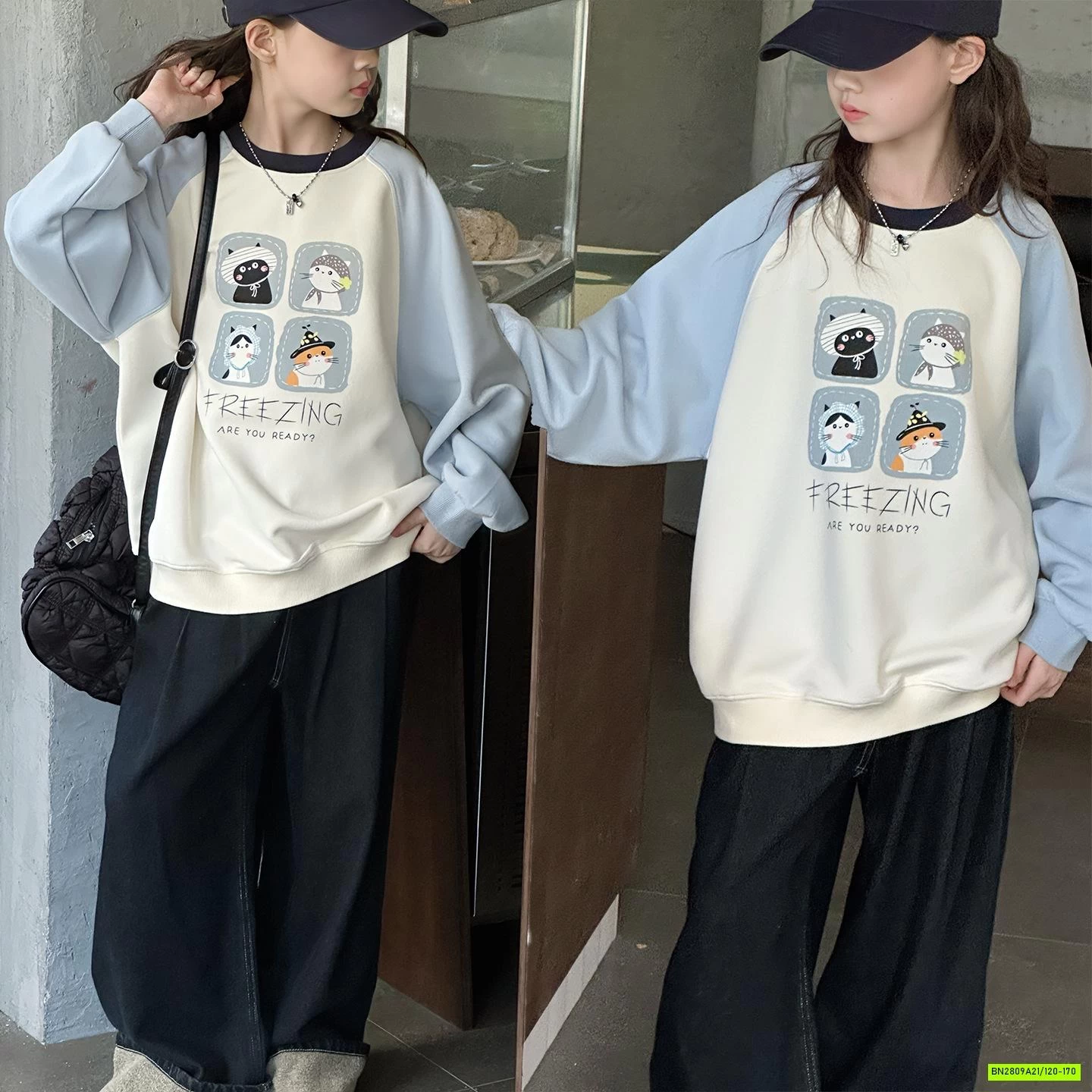 ÁO NỈ PHỐI MÀU TAY IN MÈO