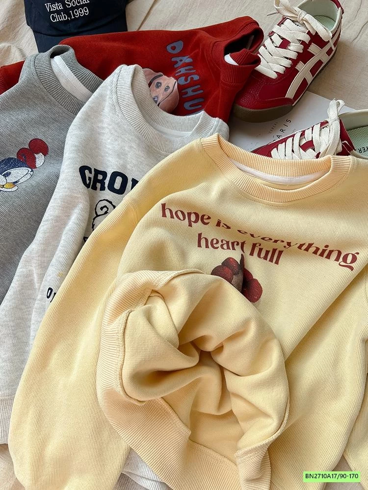 ÁO NỈ IN HÌNH 25A076 AMBB