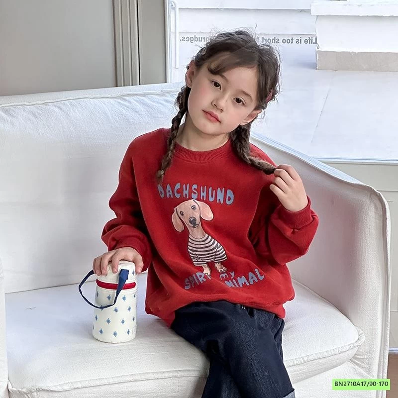 ÁO NỈ IN HÌNH 25A076 AMBB