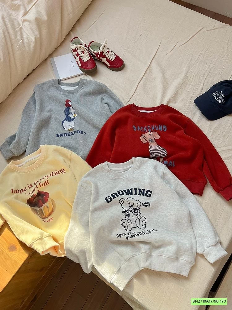 ÁO NỈ IN HÌNH 25A076 AMBB