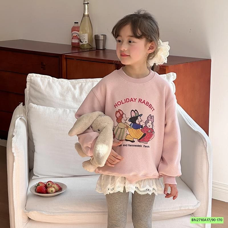 ÁO NỈ IN HÌNH 25A076 AMBB