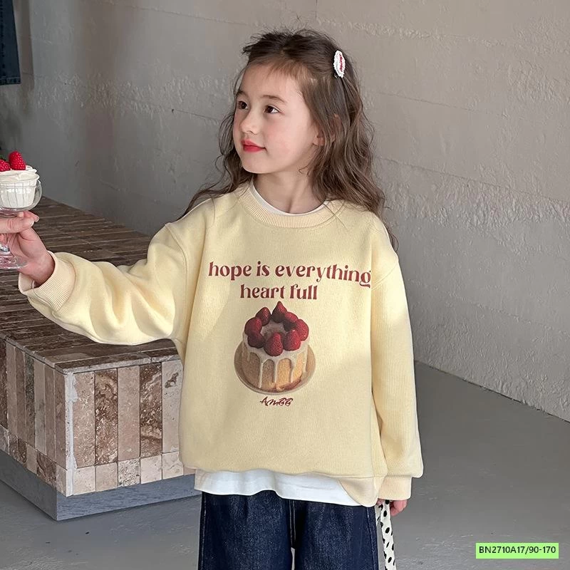 ÁO NỈ IN HÌNH 25A076 AMBB