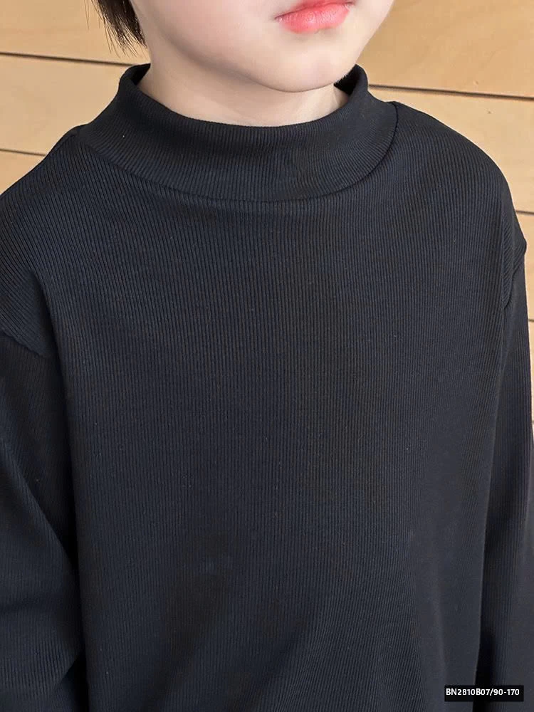 ÁO GIỮ NHIỆT TRƠN MÀU AMBB  24Y101