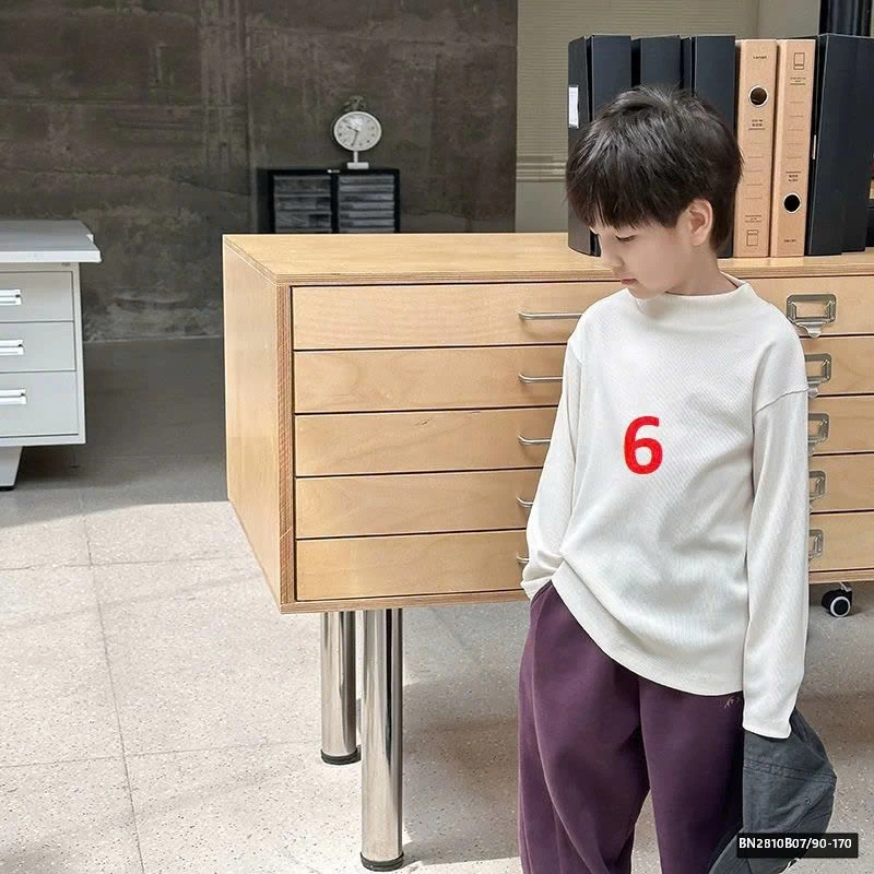 ÁO GIỮ NHIỆT TRƠN MÀU AMBB  24Y101