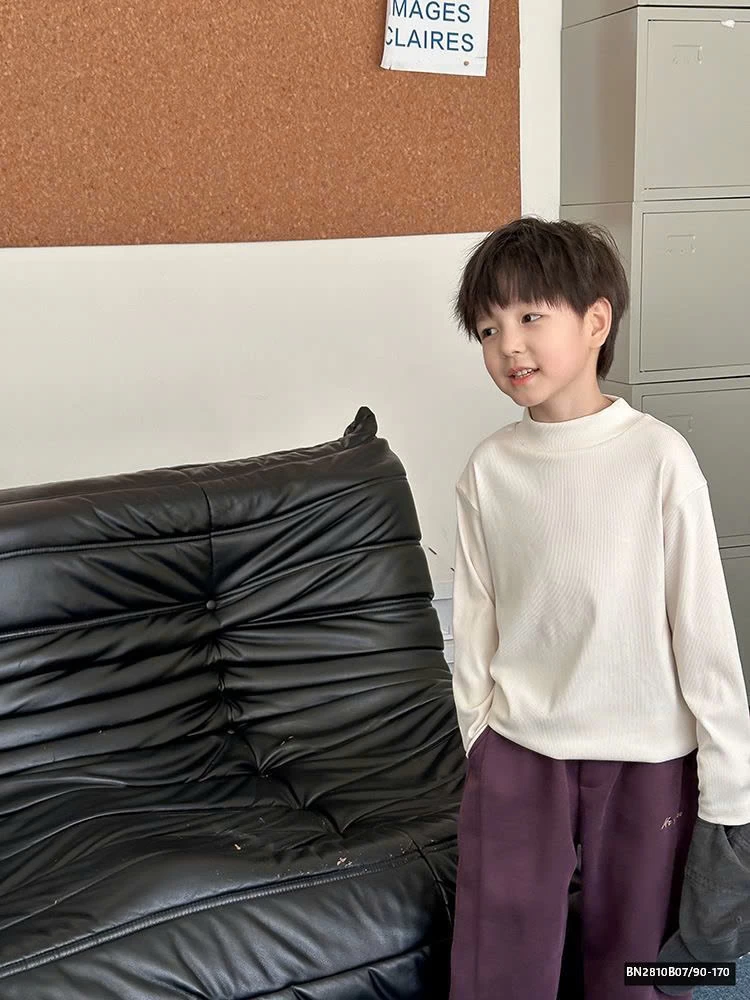 ÁO GIỮ NHIỆT TRƠN MÀU AMBB  24Y101