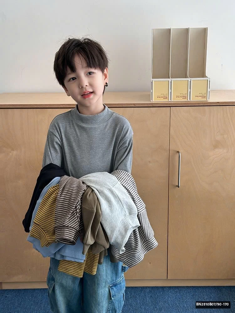 ÁO GIỮ NHIỆT TRƠN MÀU AMBB  24Y101