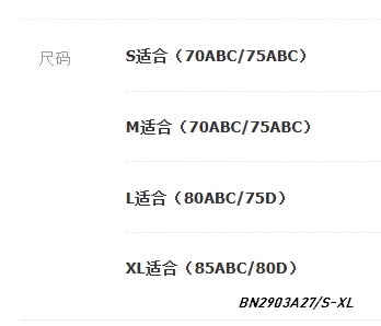 BRA SU ĐÚC NÂNG NGỰC PHỐI REN