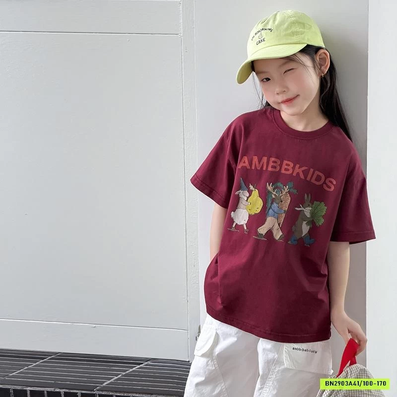 ÁO THUN IN HÌNH 26B052 MỚI AMBB