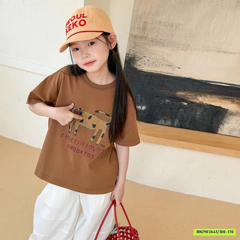 ÁO THUN IN HÌNH 26B052 MỚI AMBB