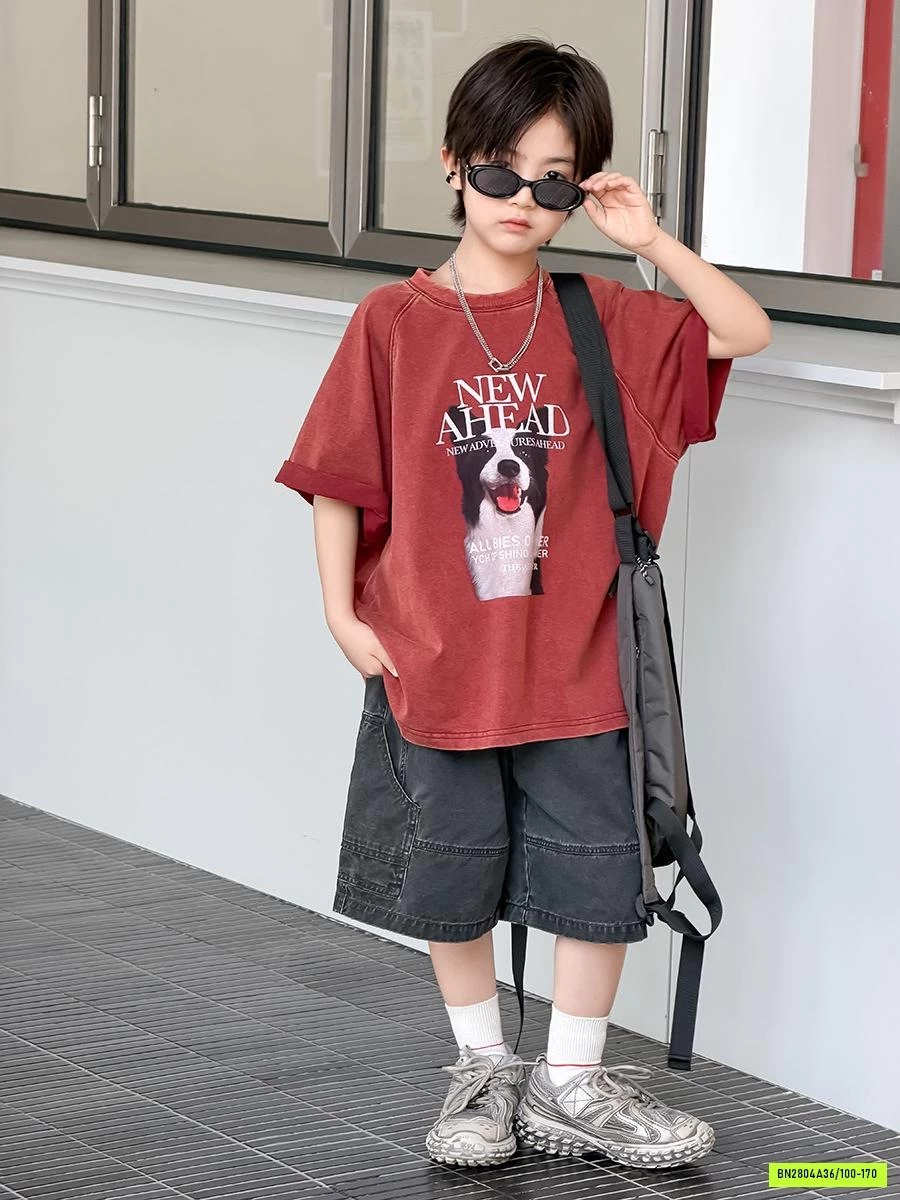 ÁO THUN CÚN 26B174 AMBB