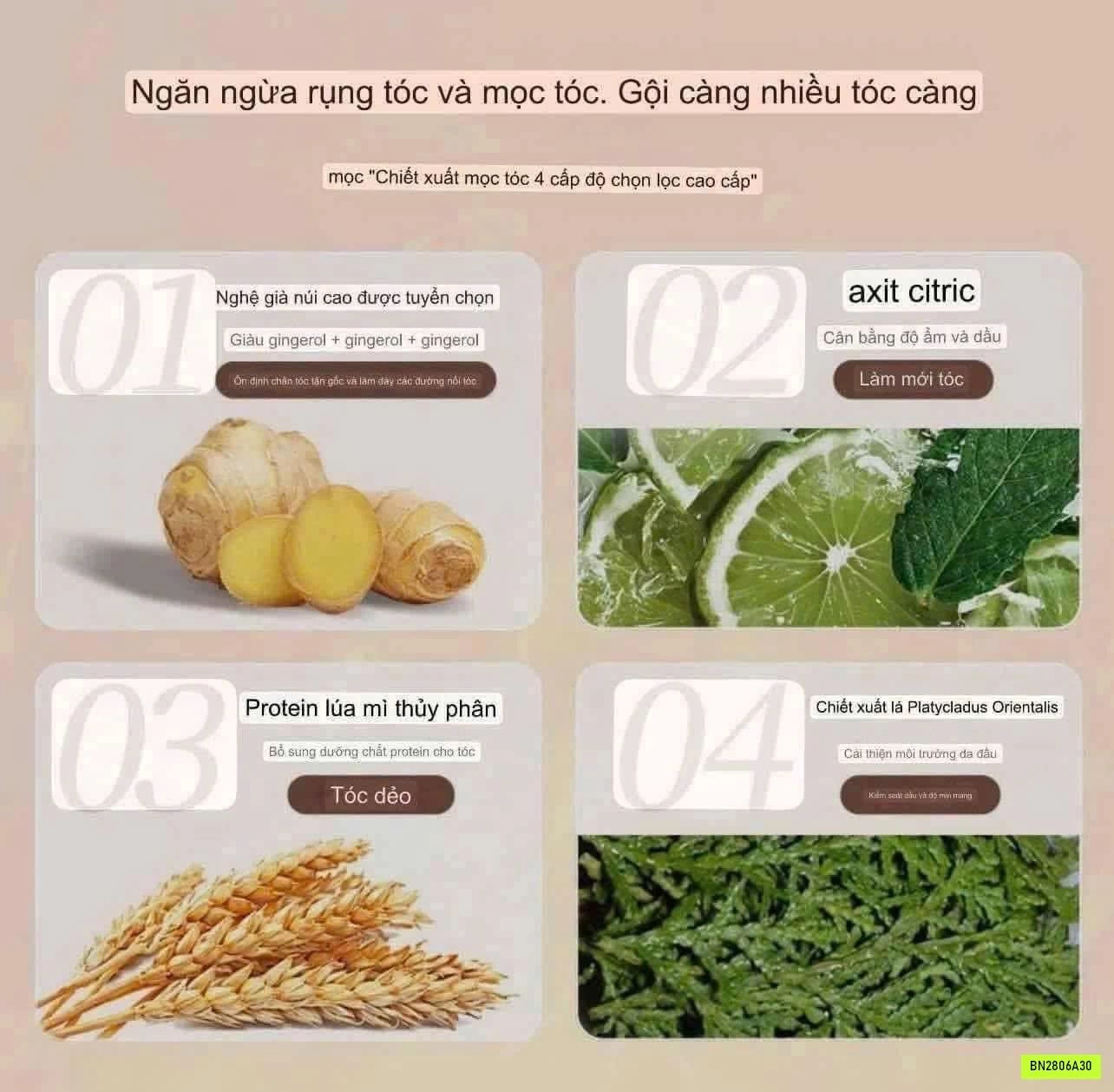 DẦU GỘI GỪNG GIẢM RỤNG TÓC CỦA #MOFAJANG