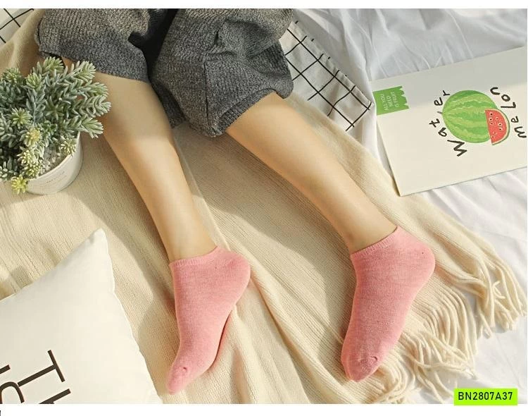 SÉT 10Đ TẤT NỮ TRƠN MÀU