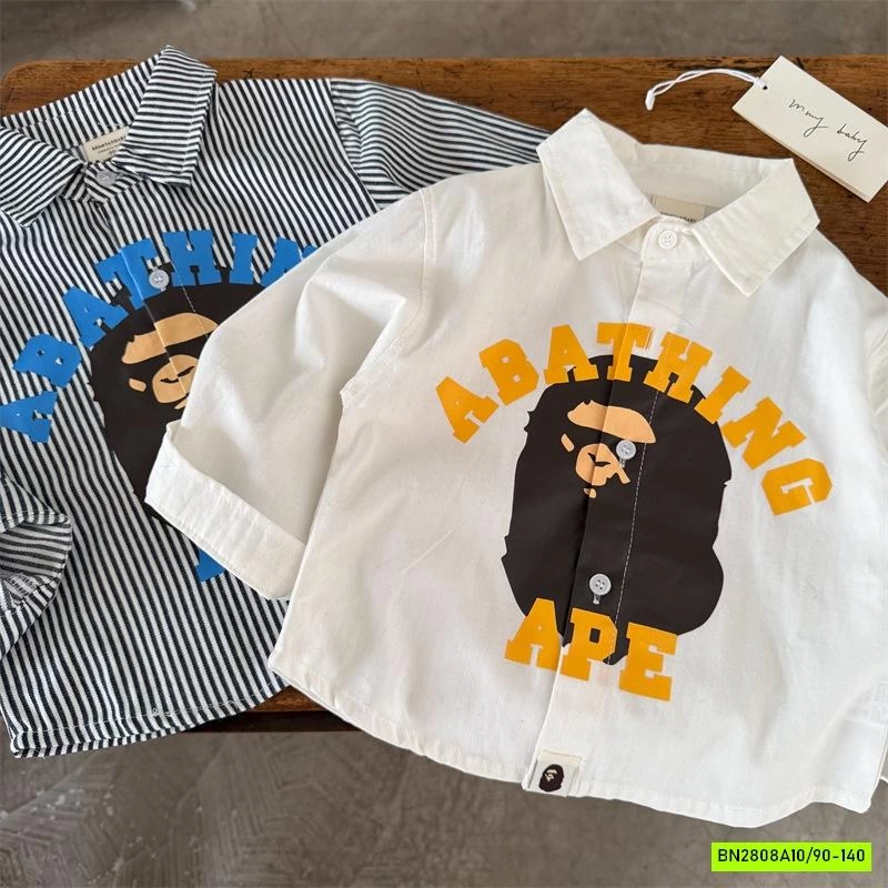 SƠ MI IN HÌNH 35176 MMY