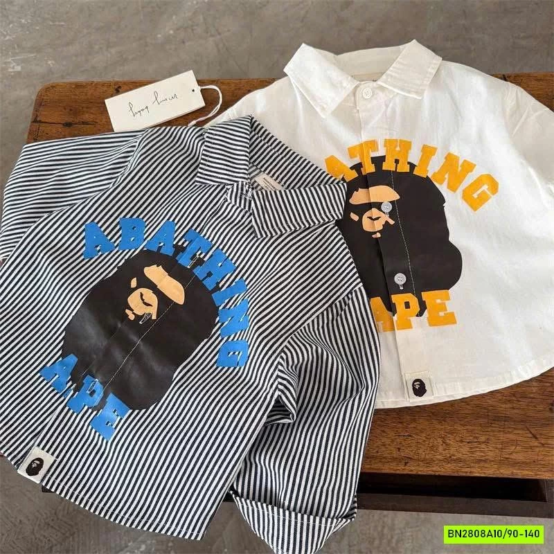 SƠ MI IN HÌNH 35176 MMY