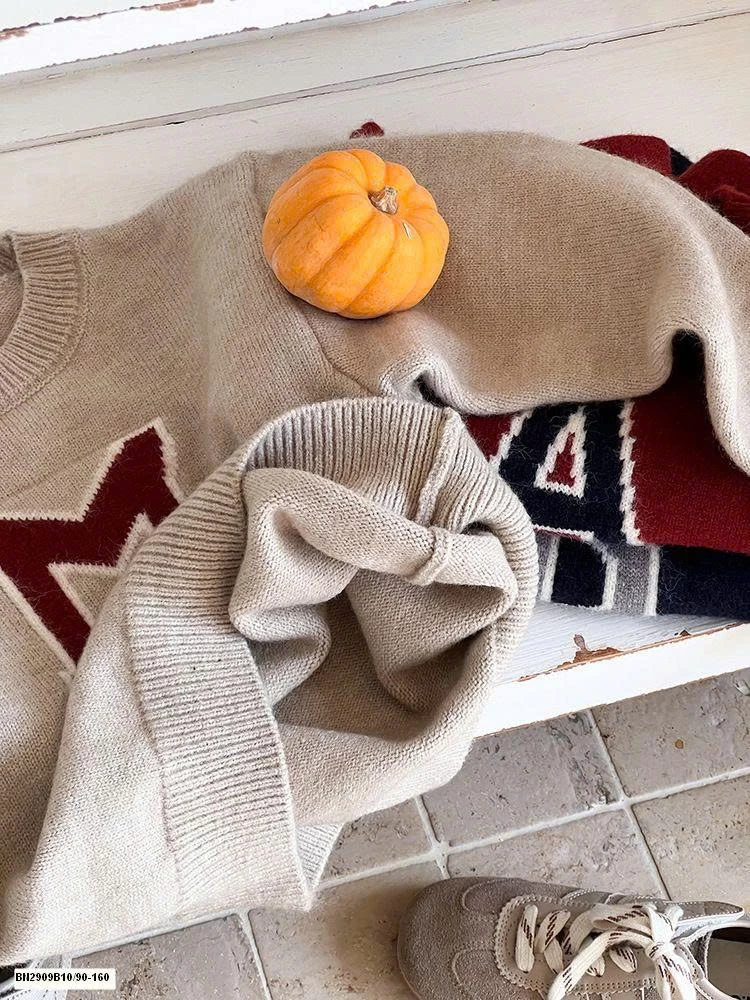 ÁO LEN CHỮ CÁI  AMBB   25G102