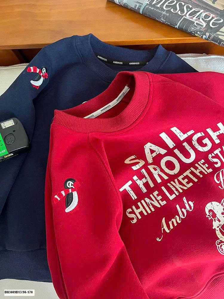 ÁO NỈ IN CHỮ AMBB
