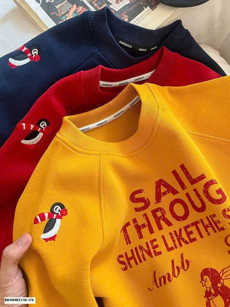 ÁO NỈ IN CHỮ AMBB