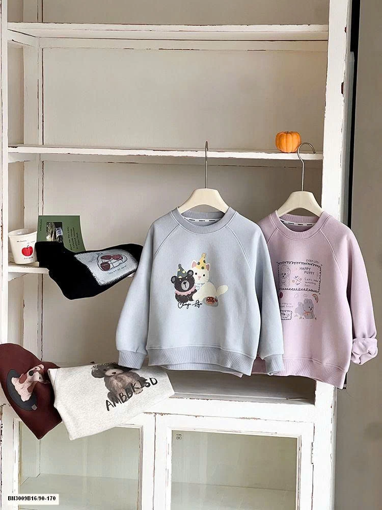 ÁO NỈ IN HÌNH AMBB 25G003