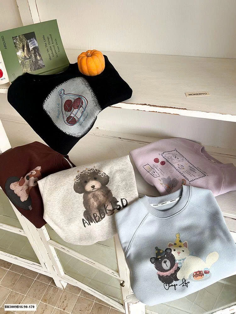 ÁO NỈ IN HÌNH AMBB 25G003