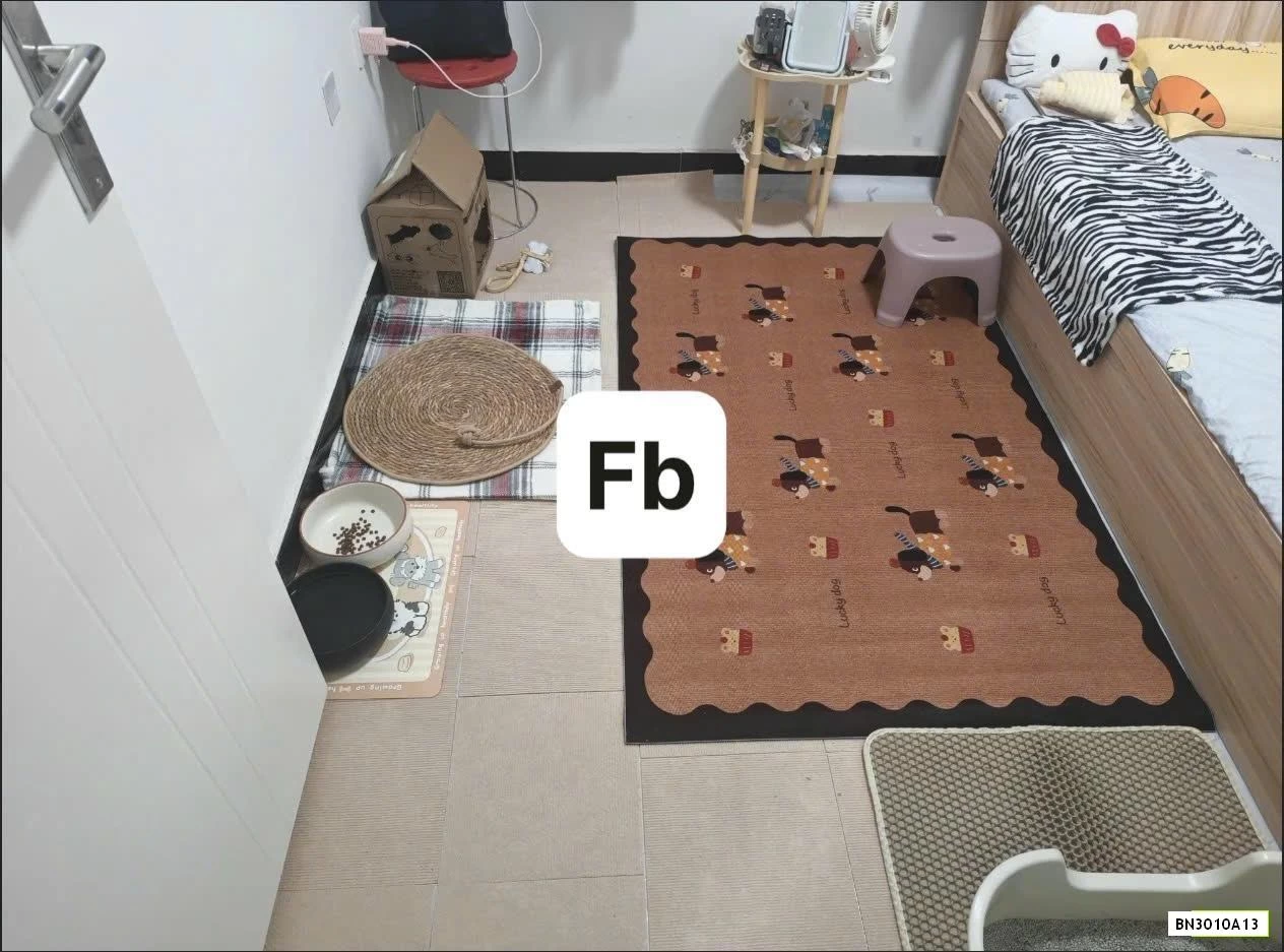 THẢM NỈ TRẢ SÀN VINTAGE