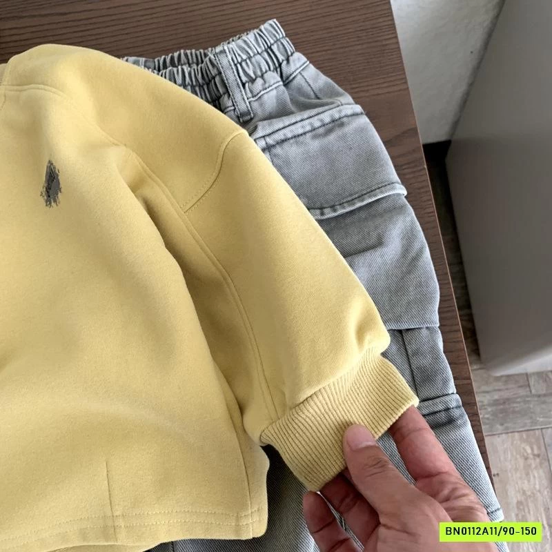 ÁO NỈ IN HÌNH LƯNG