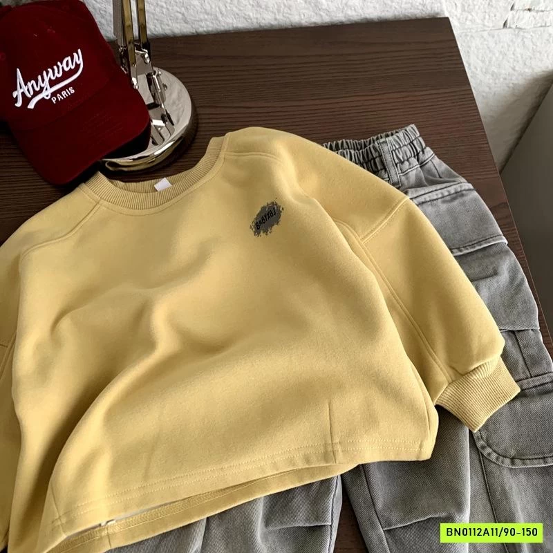 ÁO NỈ IN HÌNH LƯNG