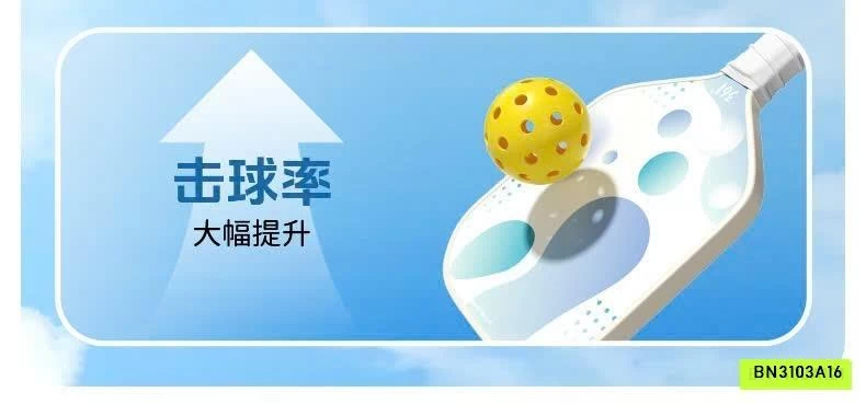 VỢT PICKLEBALL 361