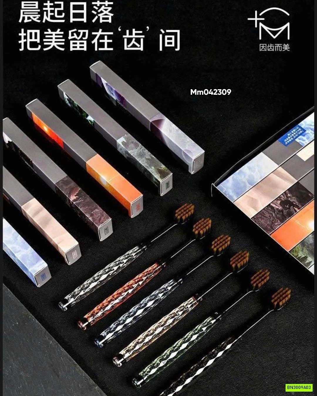 HỘP 6C BÀN CHẢI ĐÁNH RĂNG