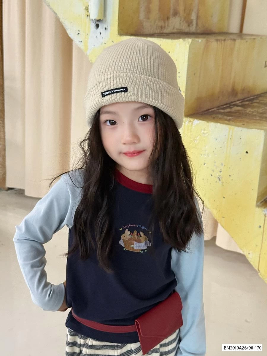 ÁO THUN PHỐI MÀU TAY 25F019 AMBB