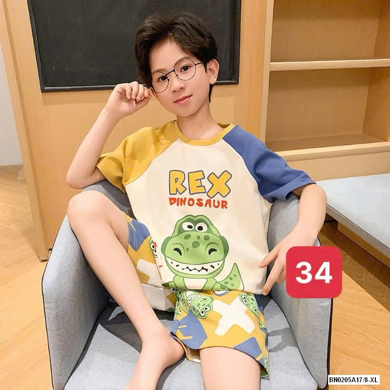 BỘ CỘC COTTON BT