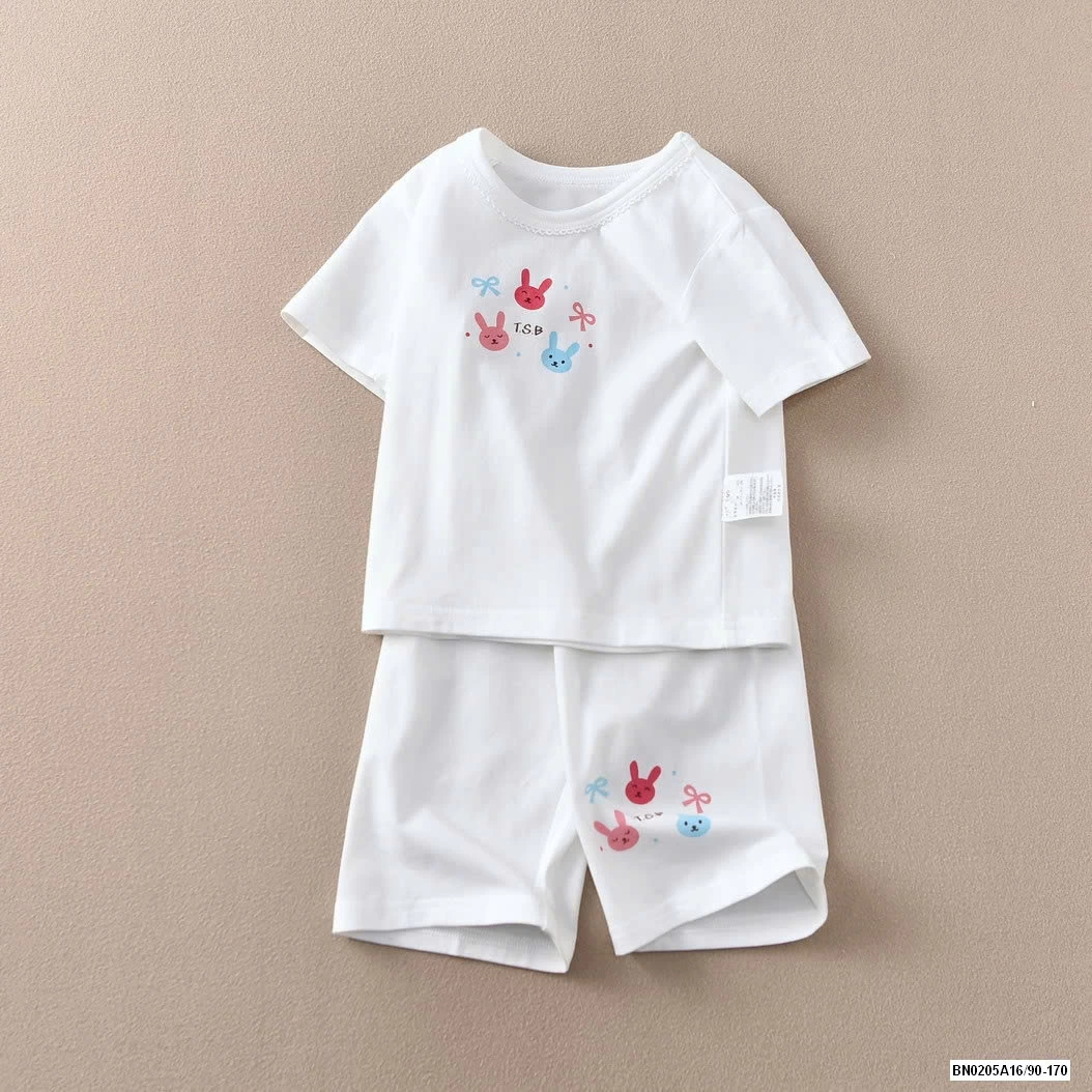 BỘ CỘC COTTON GIẤY XUẤT HÀN