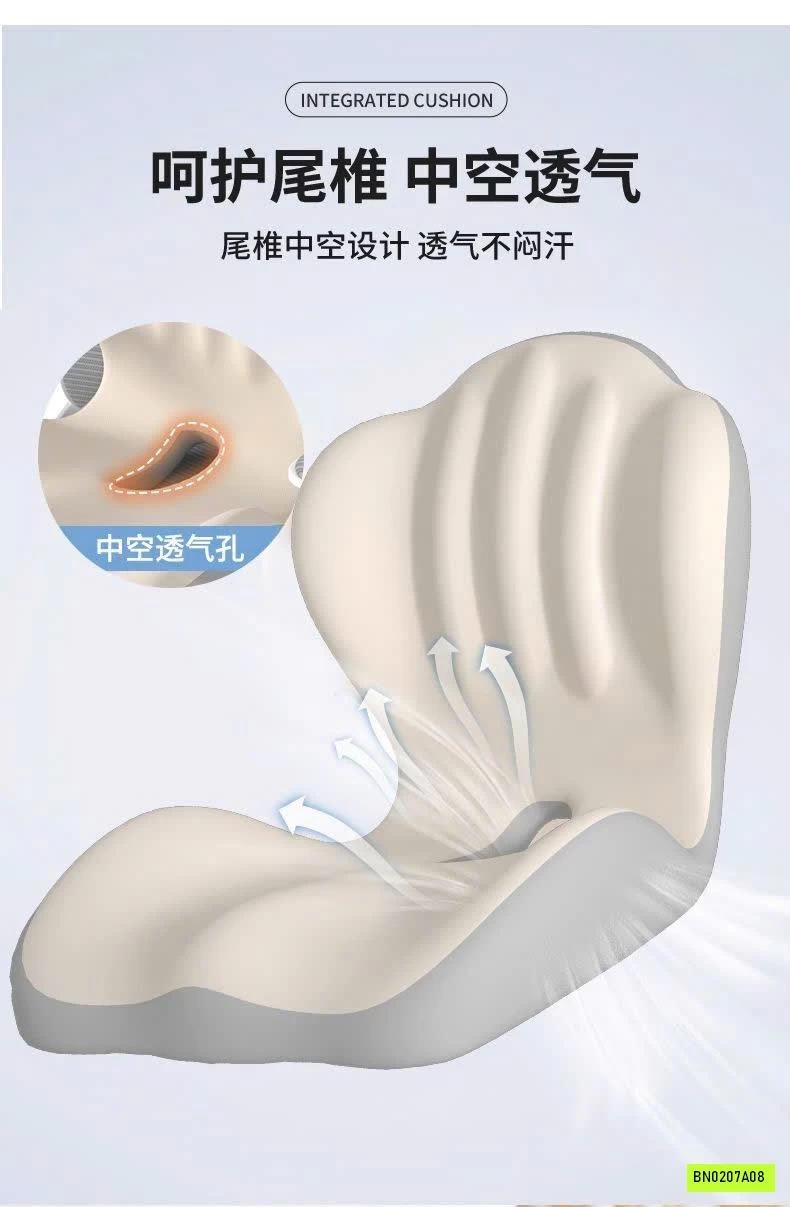 GỐI CÔNG THÁI HỌC LIỀN KHỐI