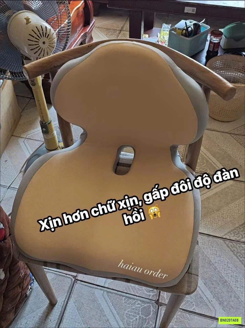 GỐI CÔNG THÁI HỌC LIỀN KHỐI