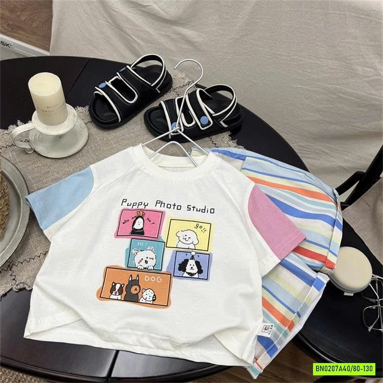 SÉT  BỘ CÚN SỌC SẮC MÀU