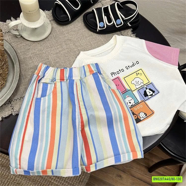 SÉT  BỘ CÚN SỌC SẮC MÀU