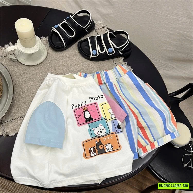 SÉT  BỘ CÚN SỌC SẮC MÀU