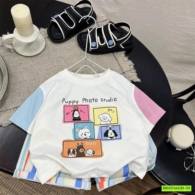 SÉT  BỘ CÚN SỌC SẮC MÀU