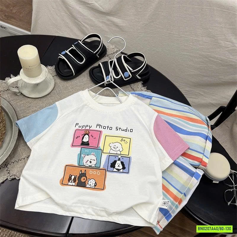 SÉT  BỘ CÚN SỌC SẮC MÀU