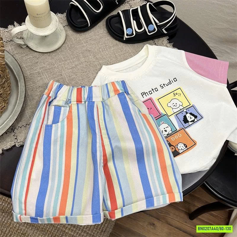 SÉT  BỘ CÚN SỌC SẮC MÀU