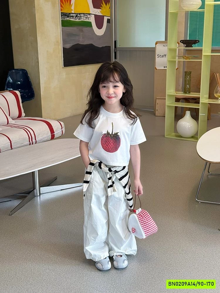 QUẦN JOGGER GIÓ TÚI HỘP 25C026 AMBB