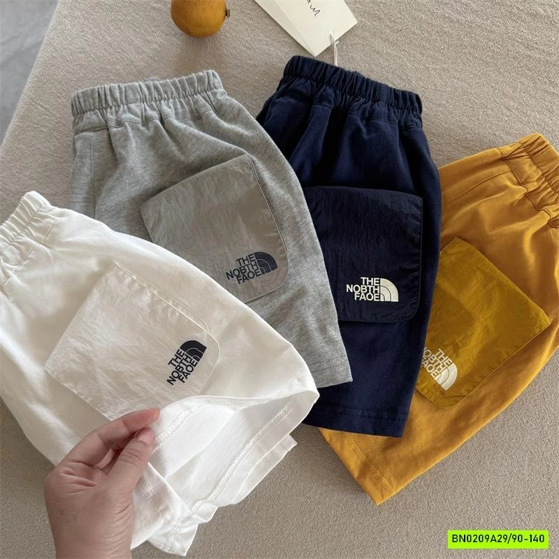 SHORT COTTON TÚI GIÓ 50818 MMY