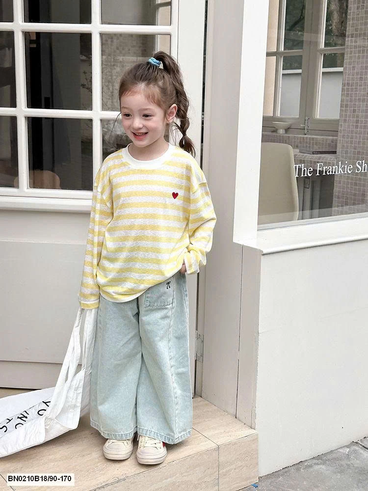 ÁO THUN KẺ DÀI TAY AMBB  25B065