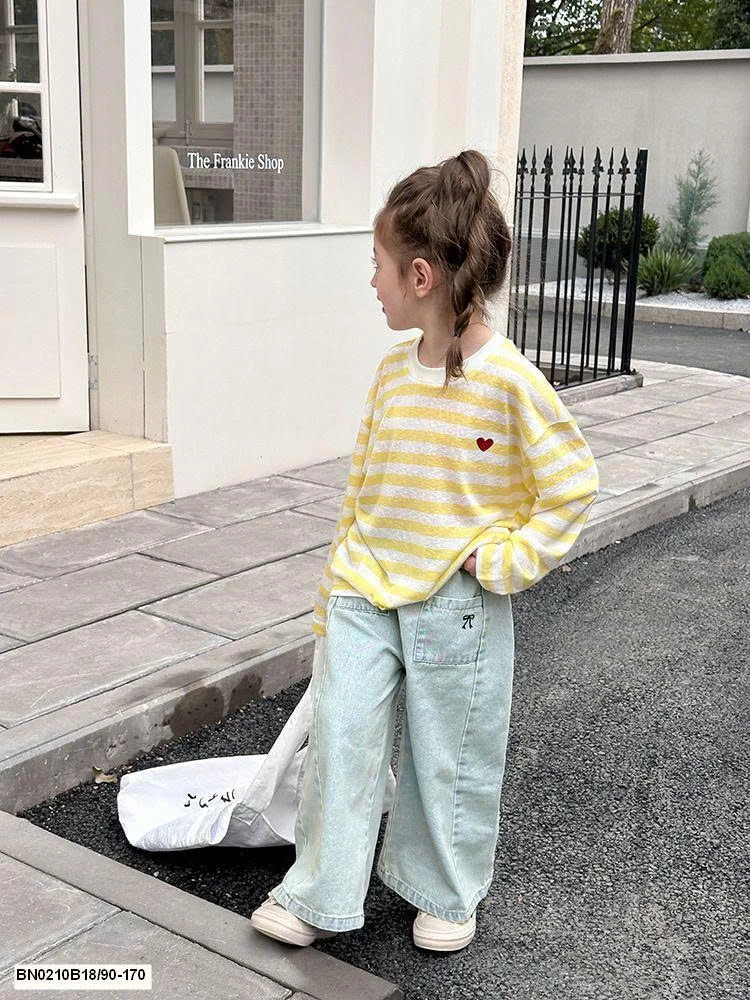 ÁO THUN KẺ DÀI TAY AMBB  25B065