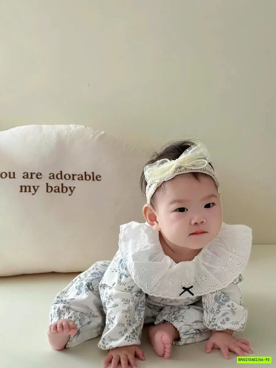 BODY HOA CỔ BÈO GẮN NƠ